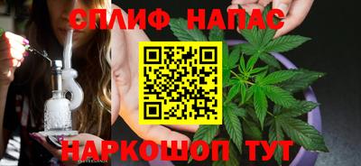 дживик Вышний Волочёк