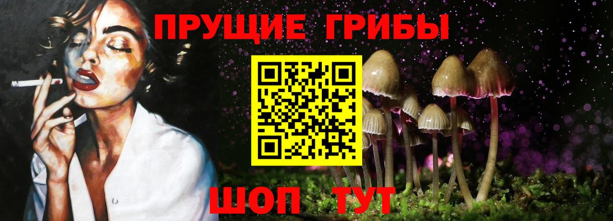 Псилоцибиновые грибы Psilocybine cubensis  Галлюциногенные грибы Psilocybine cubensis  Рубцовск  Вход с VPN 
